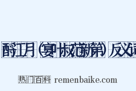 酹江月（宴叶叔范新第）反义词是什么意思的图片